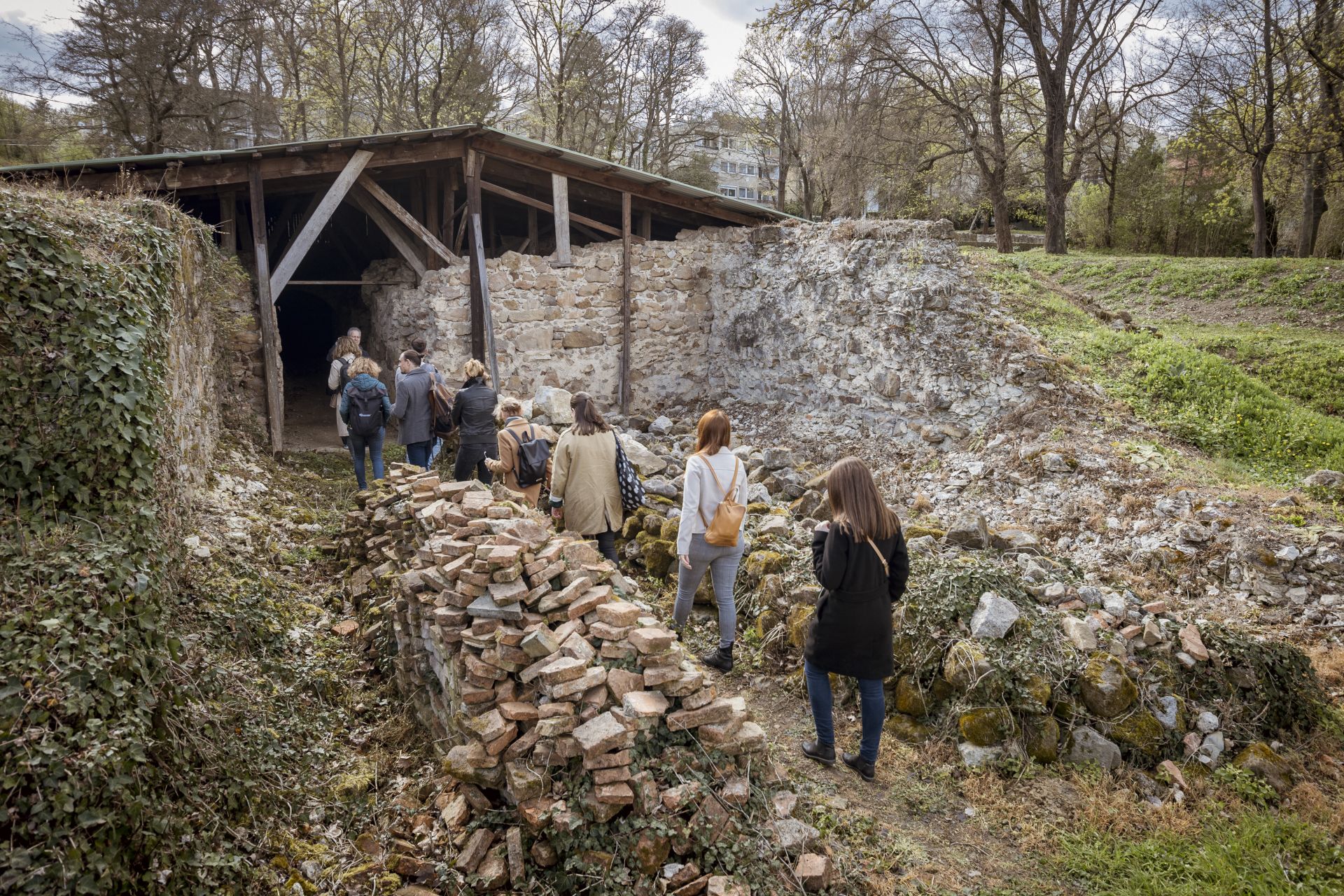 4. galéria kép
