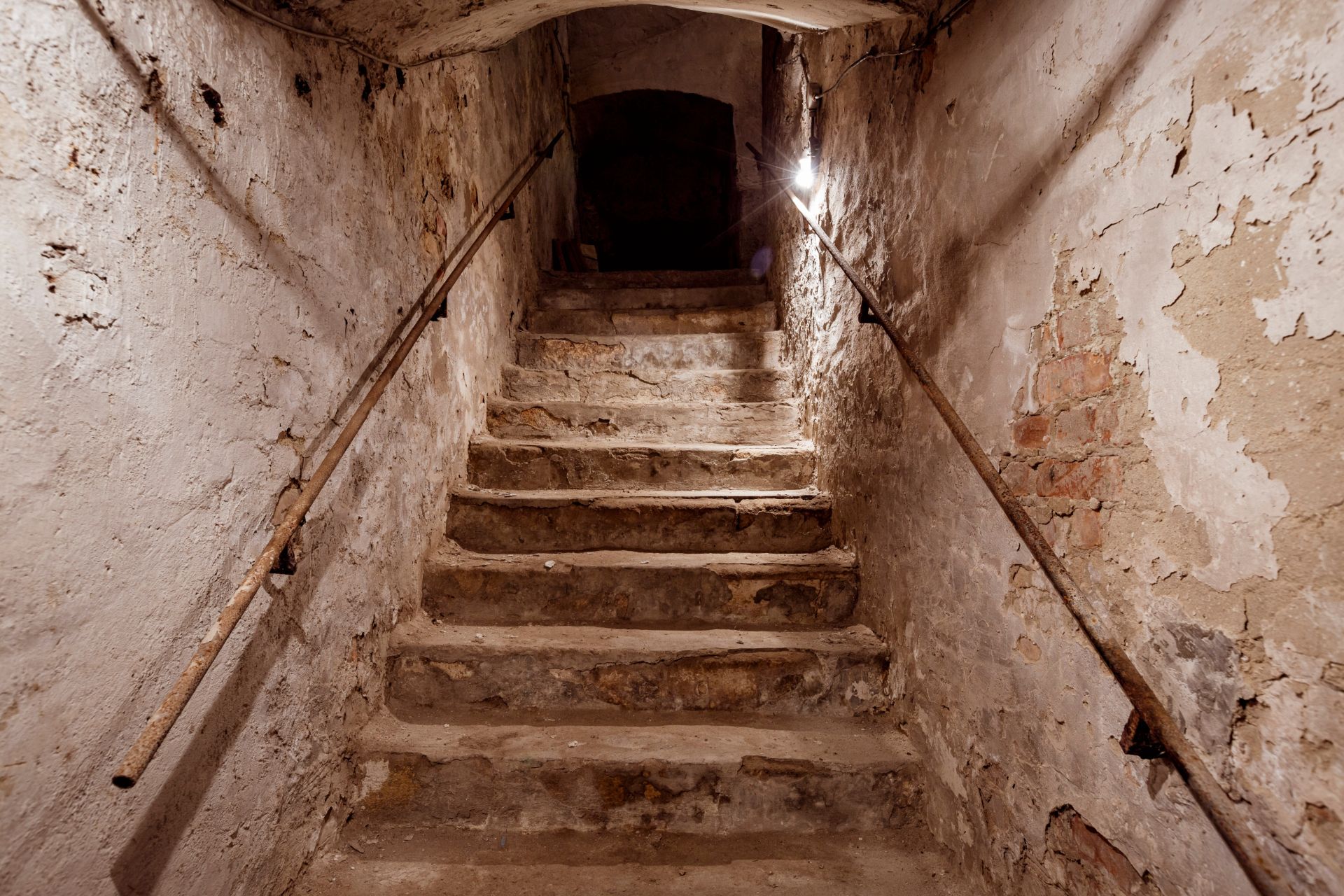 8. gallery image