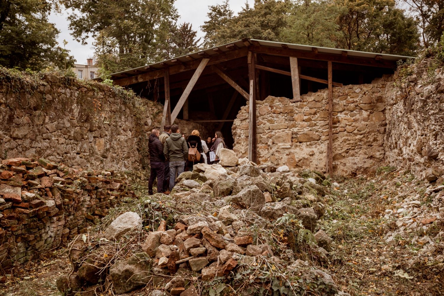 6. galéria kép
